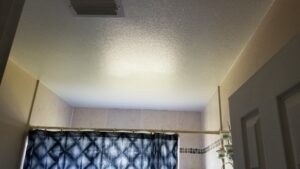 Bathroom Ceiling Drywall Repair
